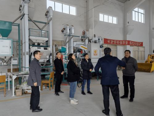 強化監管，護航春節農產品安全